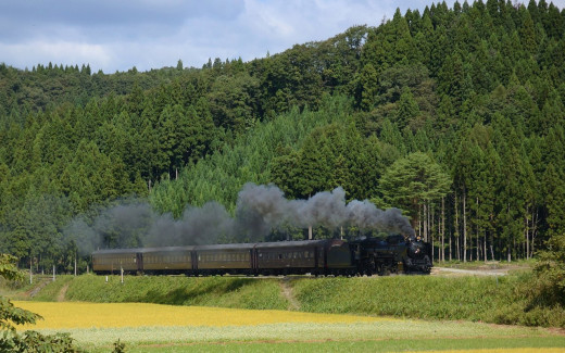 504202 (a): :1280x800
